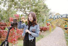 漳州云霄:借力公益金 老区谋振兴